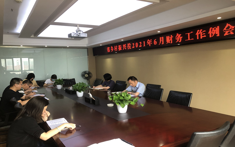 省乡村振兴投召开2021年6月份财务工作例会