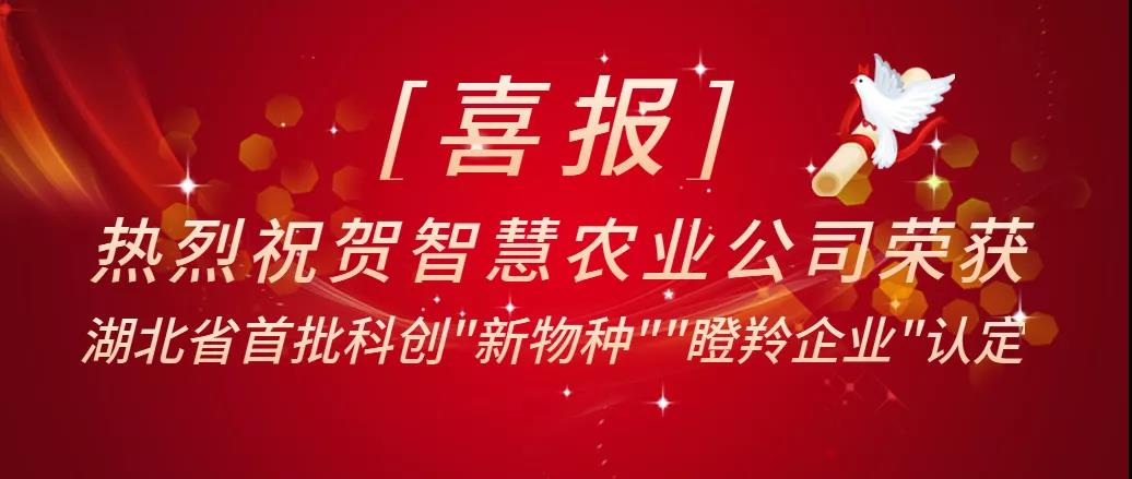 省智慧农业公司获批“瞪羚企业”