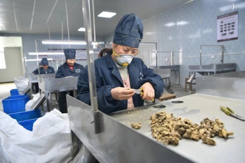 湖北乡投集团：发展中药材产业 助力富农增收